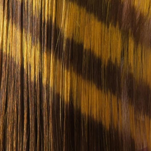 Partial Hilight Package at Kee Tresses in High Point, NC